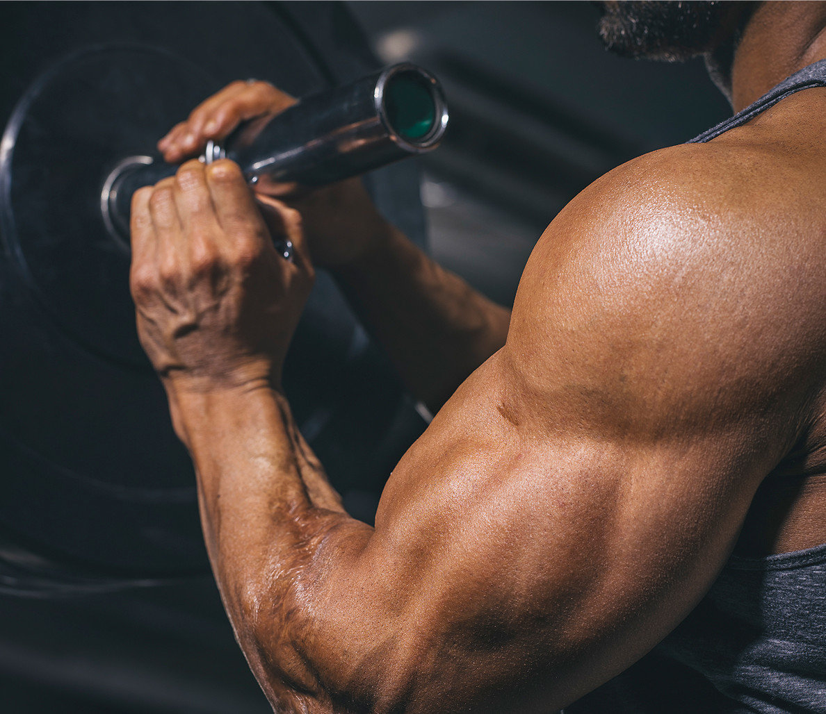 bodybuilding_main.jpg