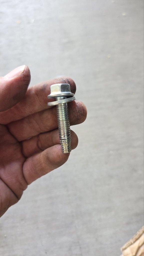 bolt 02.jpg