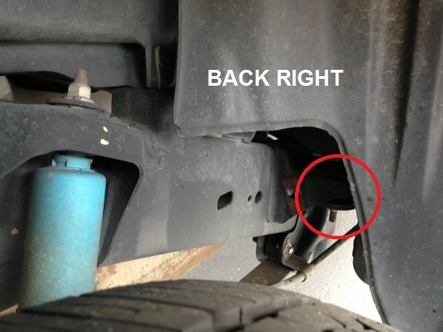 Bolt, Back Right 1.jpg