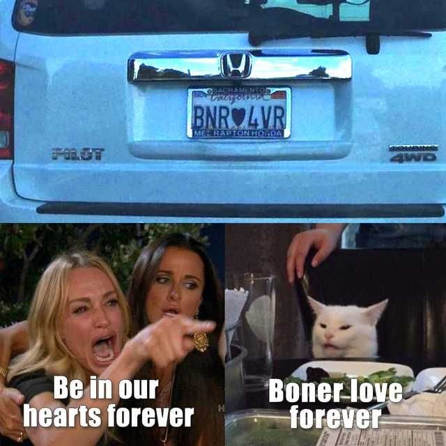 boner.jpg