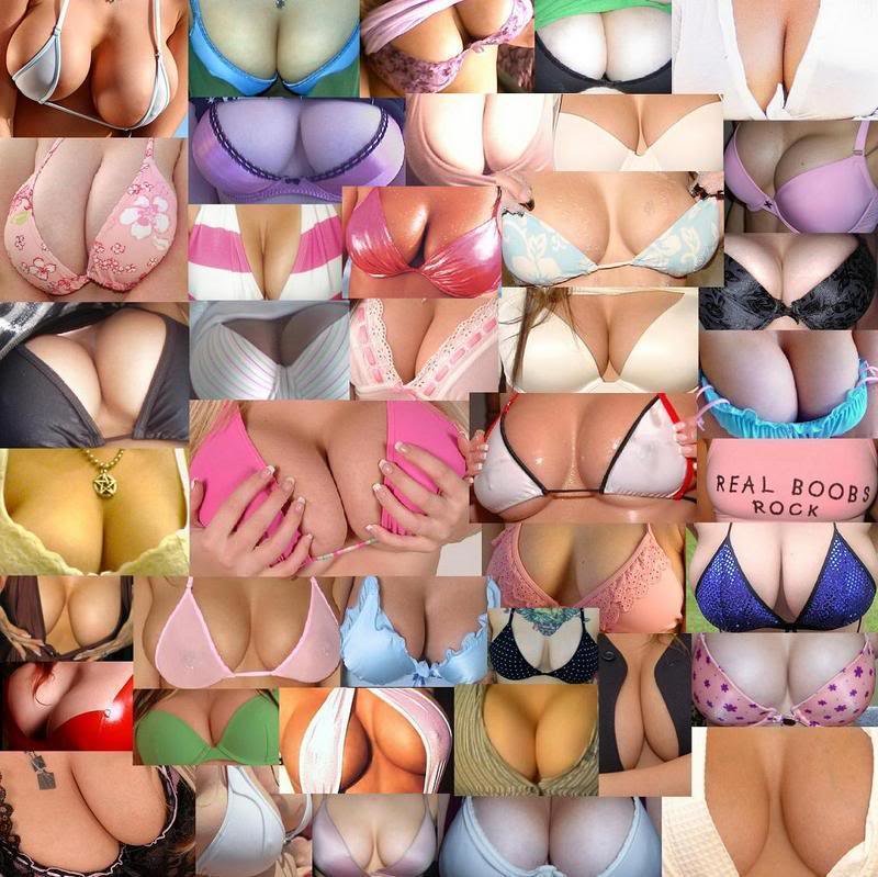 boobies-1_1486c4a3fa5979b2c05707f3d299b26b865748c9.jpg