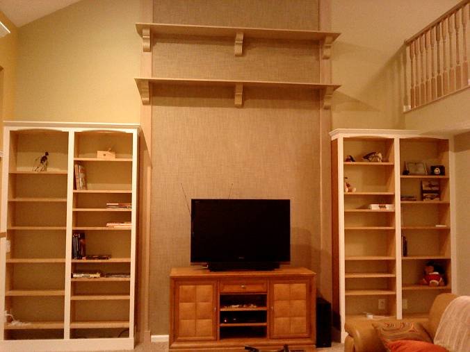 bookcases_01-461317_1e65f0ecf5d418750c3c65fafe0550afca952220.jpg