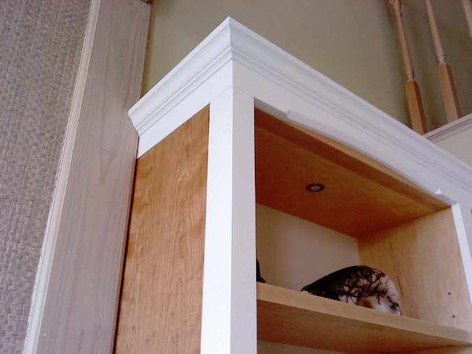 bookcases_06-464058_da70fbf9d8f4e4b3efa6ddf32a88224c5c5f14af.jpg