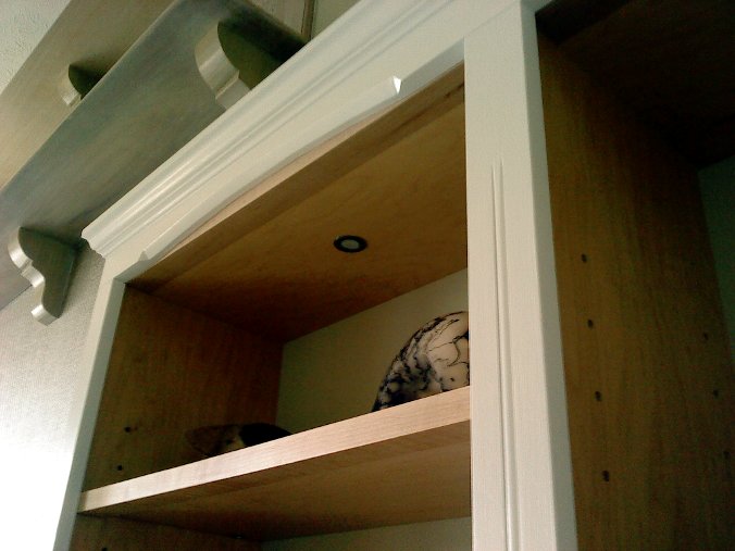 bookcases_07-464057_cf6bd37fb97b20a6310d1b45e5e680225fd9b538.jpg