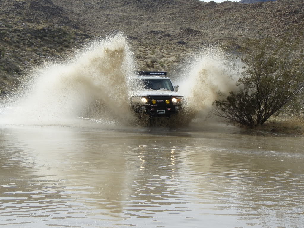borrego10026_f866bbe6967f385a19011162dfdb62b5f3c1b357.jpg