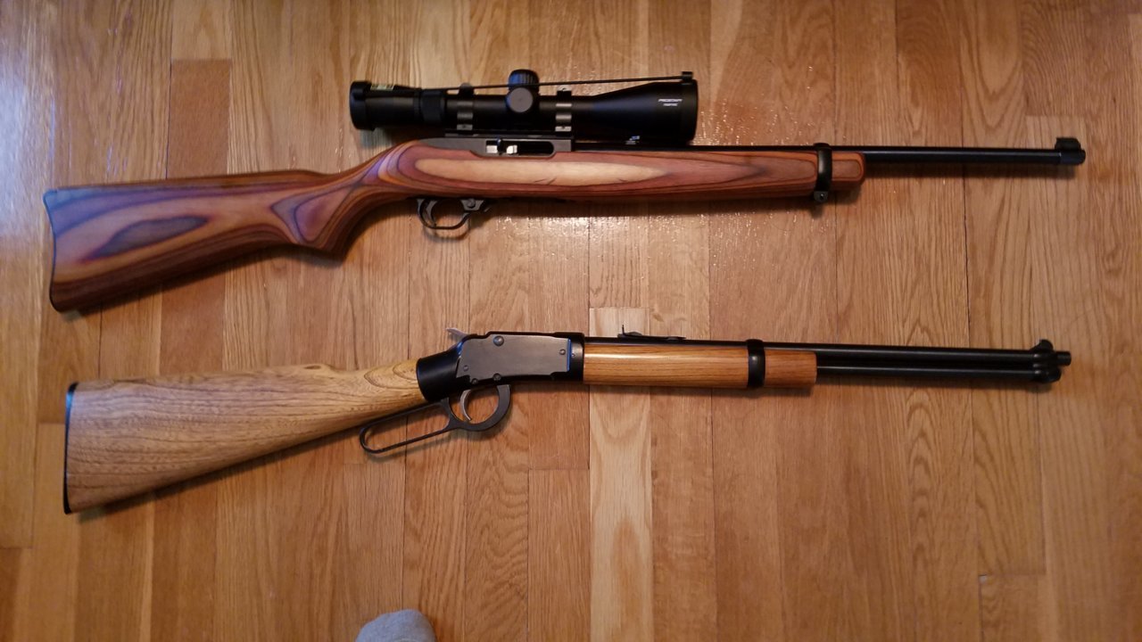 Both My .22s.jpg
