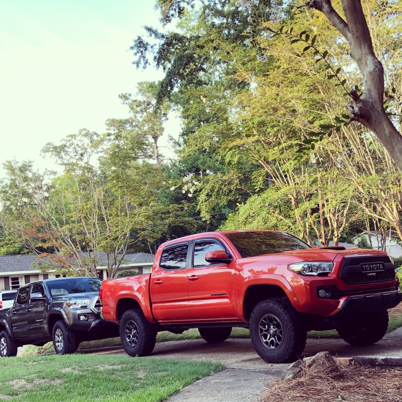 both trucks.jpg