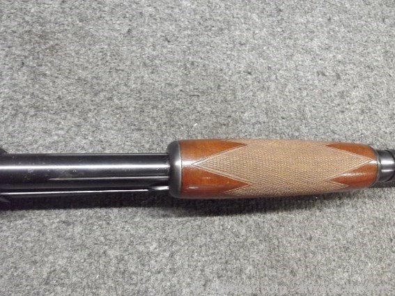 bottom forearm.jpg