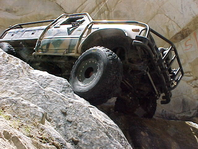 bottom20of202312C20looking20up-1.jpg