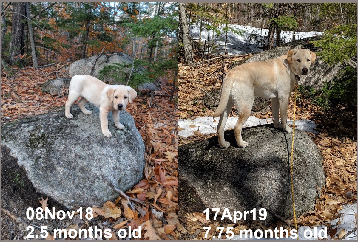boulder_then_now.jpg