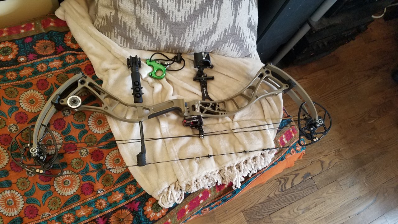bow.jpg