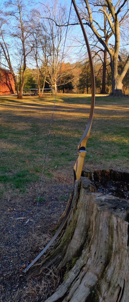 bow1.jpg