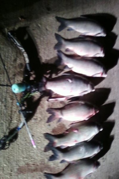 bowfishin1.jpg