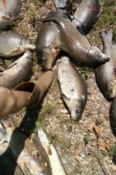 bowfishin5.jpg