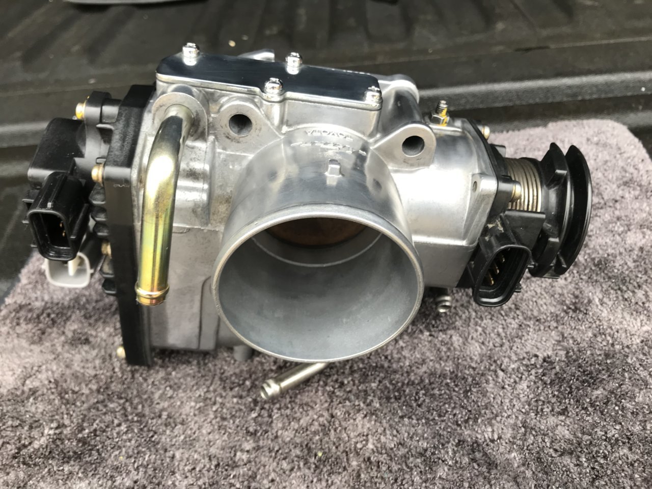 Boxer_1572274712.893747_asset.jpg