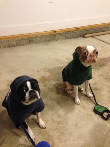 boys in hoodies.jpg