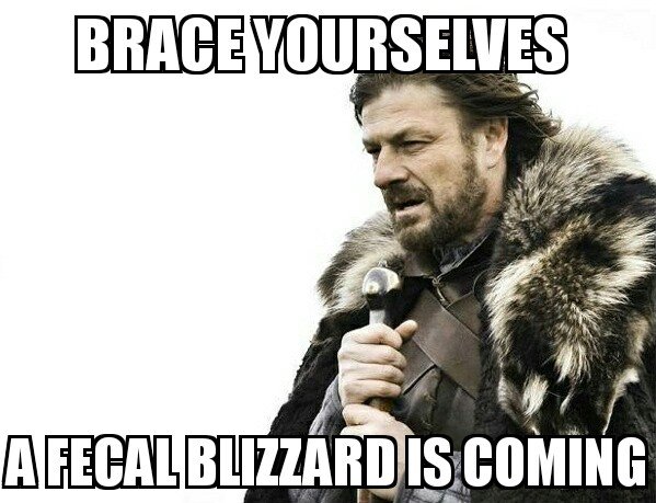 brace yourselves 24092016141957.jpg