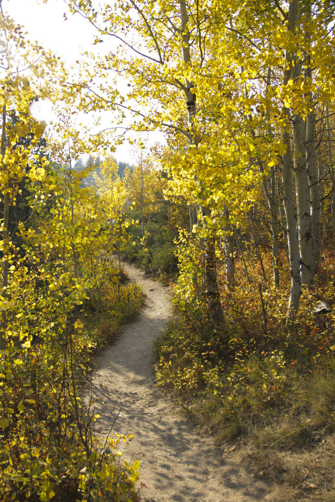 bradleytrail3_ede4c889284abdbffb7764aa99379c4dff70c133.jpg