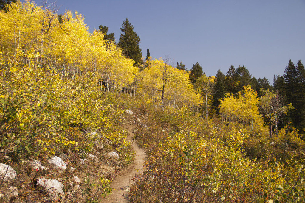 bradleytrail_2db47ab53aecd48885b1a18cfcdb8f417b437164.jpg