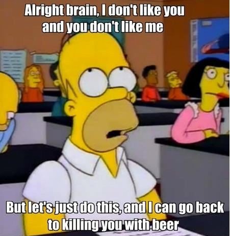 brain-homer-test-beer.jpg