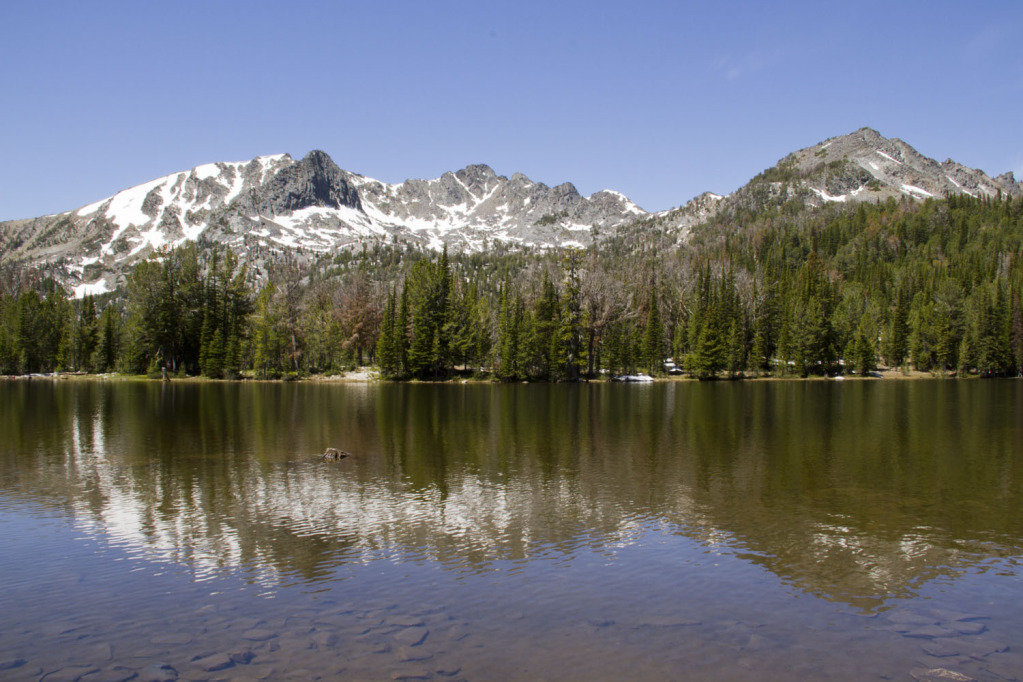 branham-1_5aabc38e887a910cc1f36ece02a14d2ba5ff3571.jpg