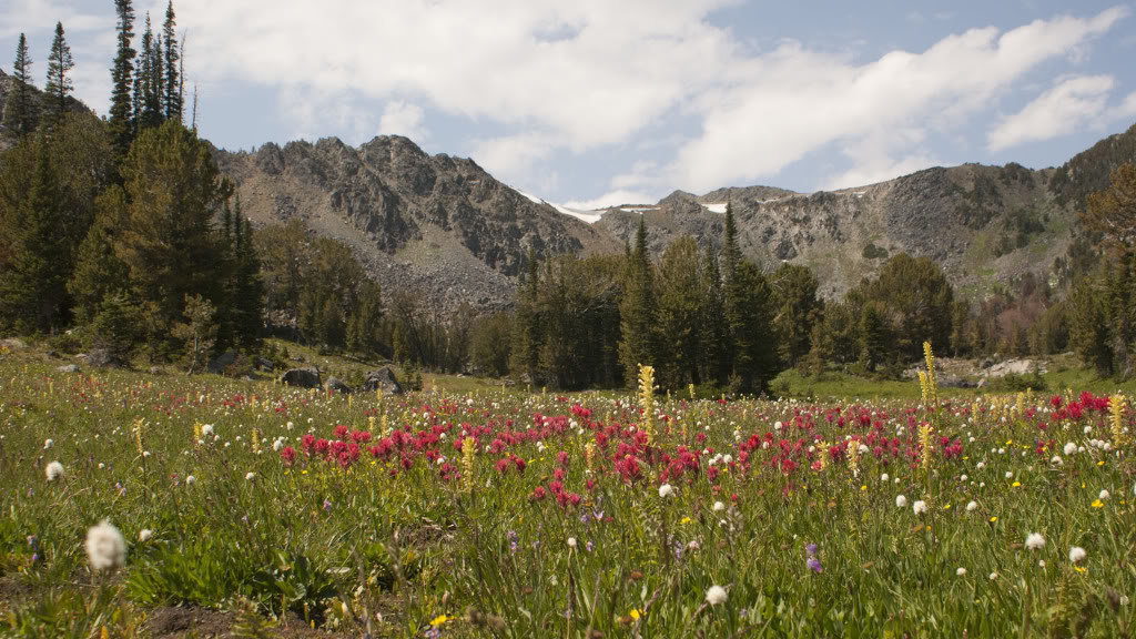 branham_1834d0a3cce9da4e56ac386367f331df7889bef1.jpg