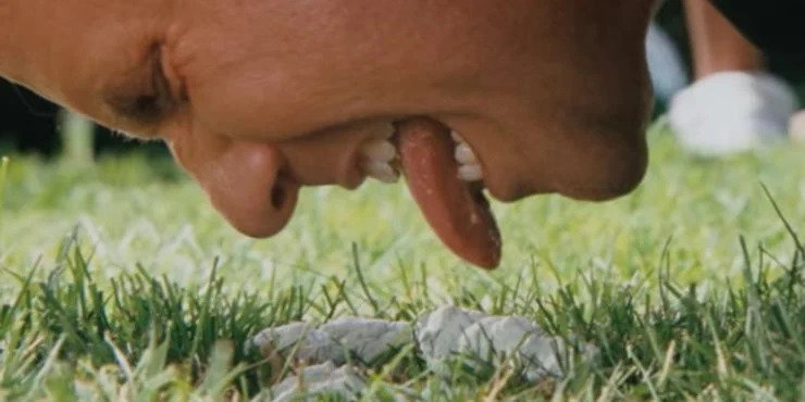 Brennan-licking-white-dog-poop-in-Step-Brothers.jpg.jpg