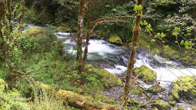 Brice Creek Pool.jpg