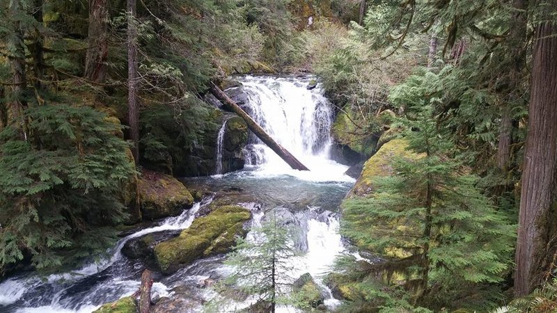 Brice Creek Waterfall.jpg