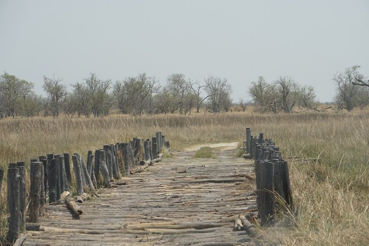 bridge low res.jpg