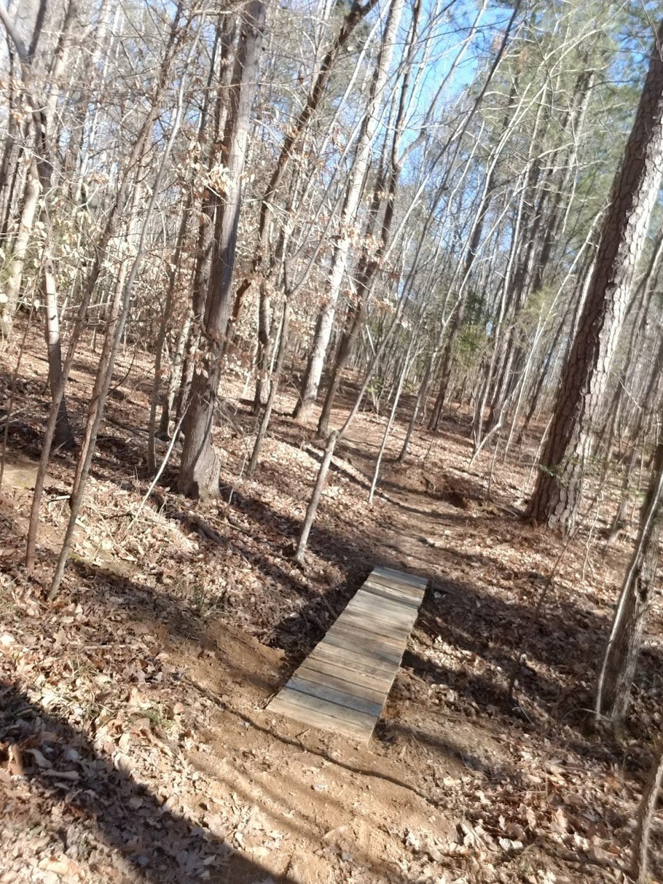 bridge1.jpg