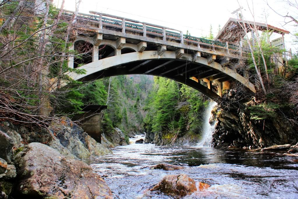 Bridge1_9992b2dc1ec8203b1d88cb7e92376eb9c74924c5.jpg