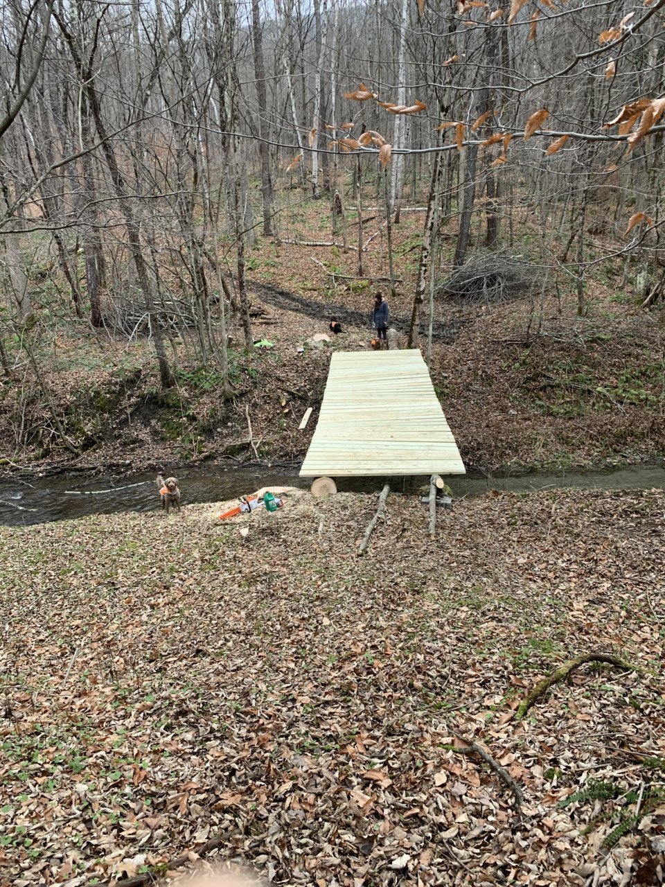 bridge4.jpg