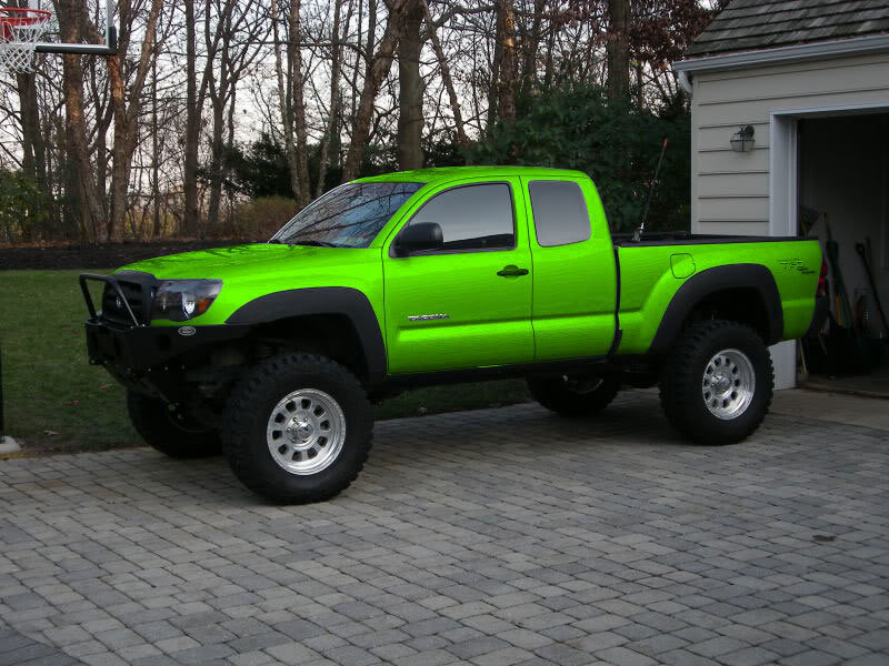 bright-green_ce14f8cc6b043cec215bb707ee892108150a668e.jpg