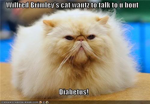 BrimleyCat_857d843cba490f2a706a0be164f4c589a19cb05a.jpg
