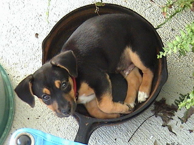 Brody29.jpg