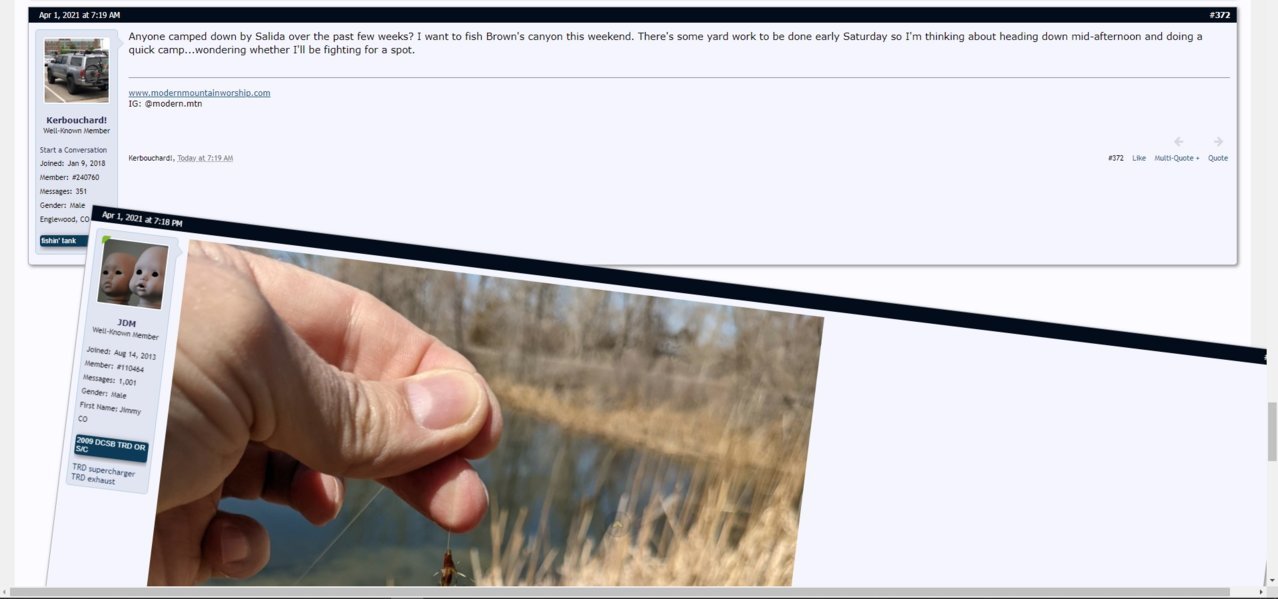 Broke the forum.jpg