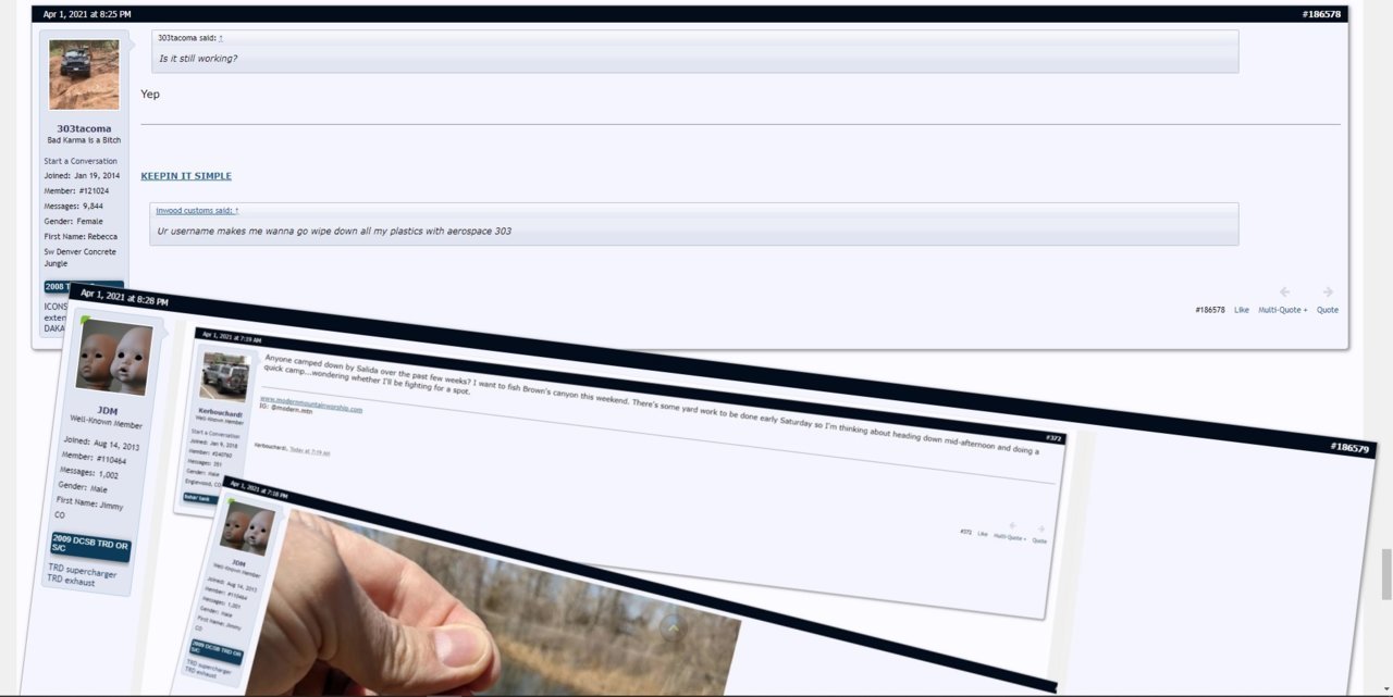 Broke the forum.jpg