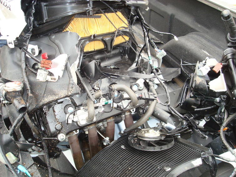 Broken crankcase.jpg