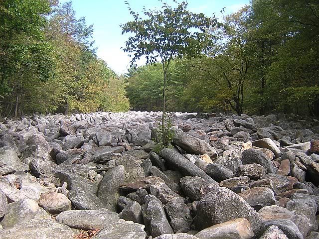 BrokenShock_c9aebb6385079bf13c38b88e58f47a08f6f85628.jpg