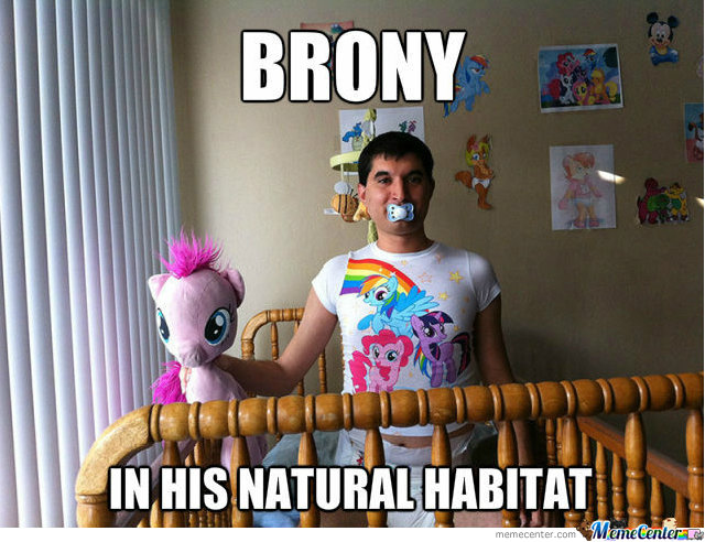 brony_o_2051281.jpg