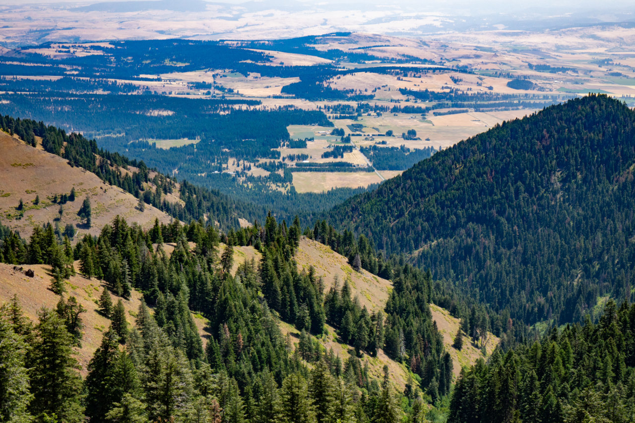 BroTrip2018-OBDR-16.jpg