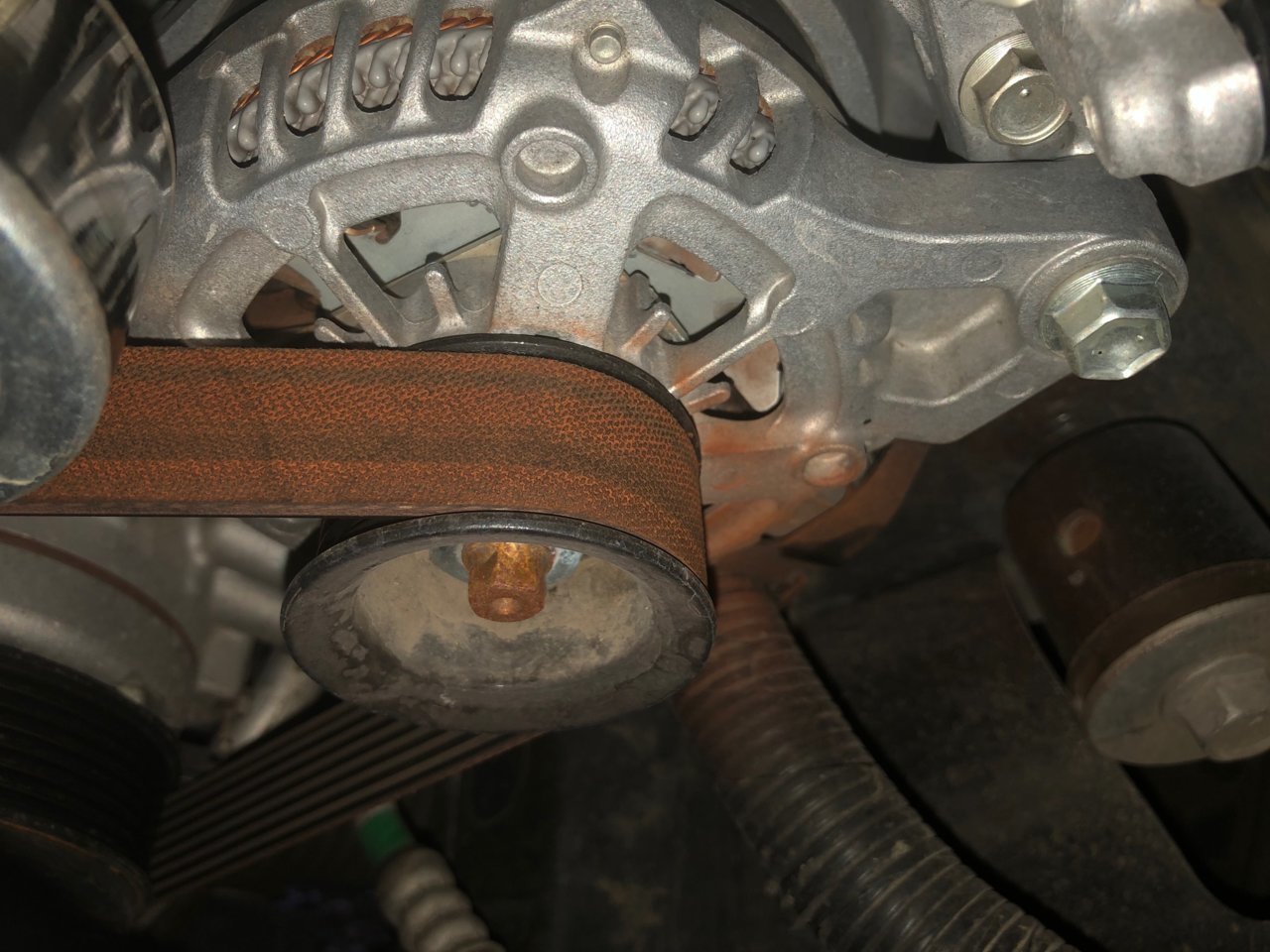 brown stuff near belt.jpg