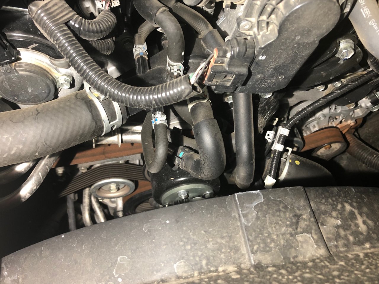 brown stuff near belt2.jpg