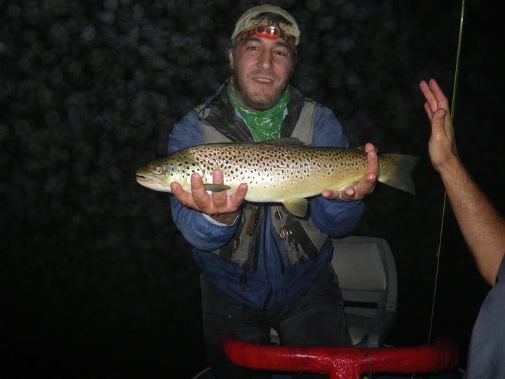 brown_b00279a570a927e39591378276bd33460c6aa338.jpg