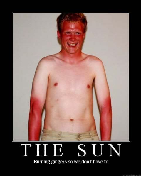 bruninggingers_d769c08014f36f84606194caf6f32bc53edaaf39.jpg