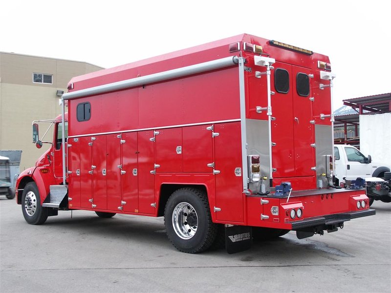 Brutus13 (Large).jpg