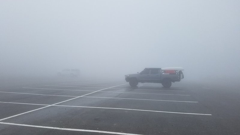brutusfog.jpg