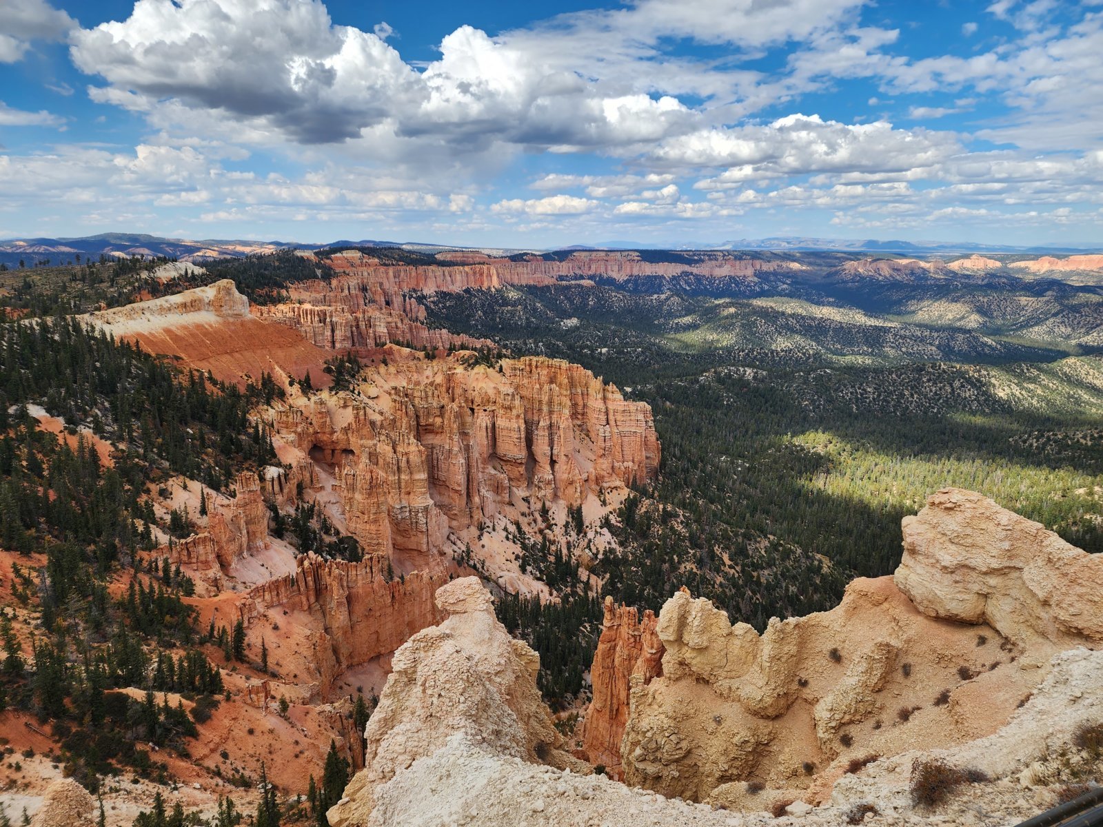 bryce1.jpg