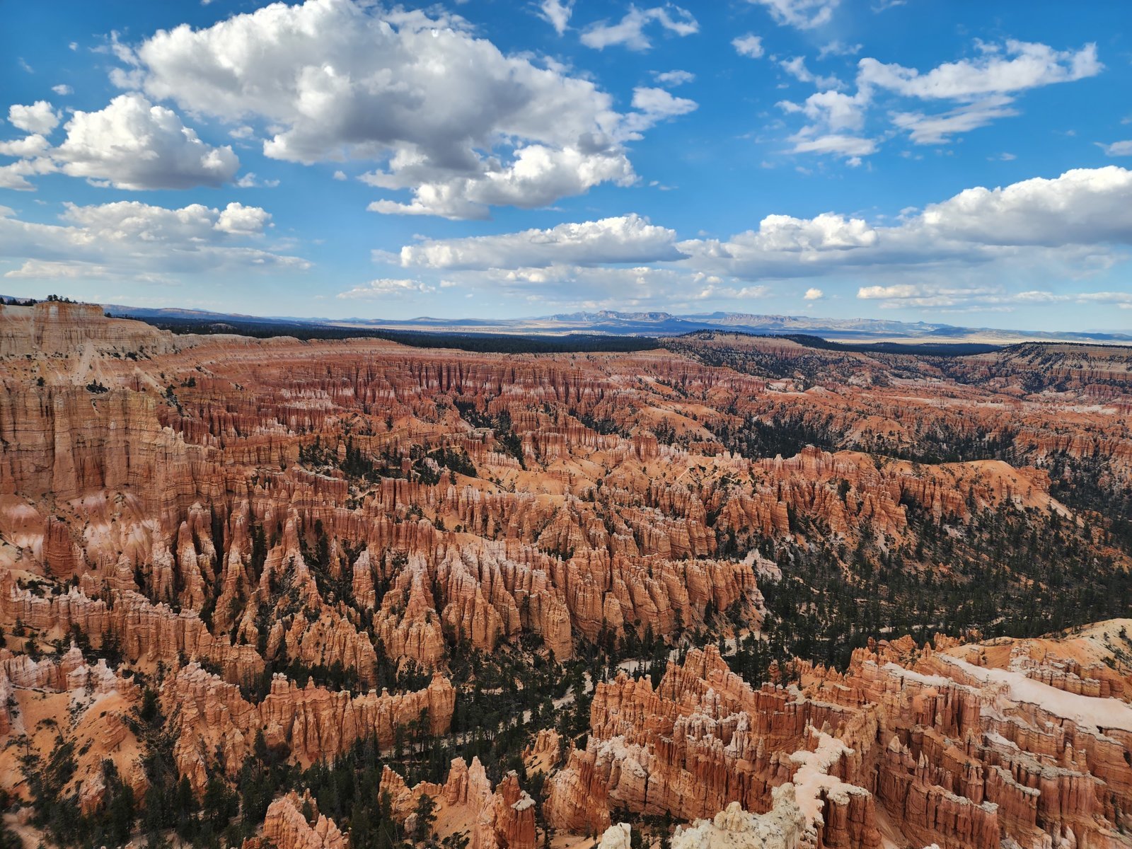 Bryce2.jpg